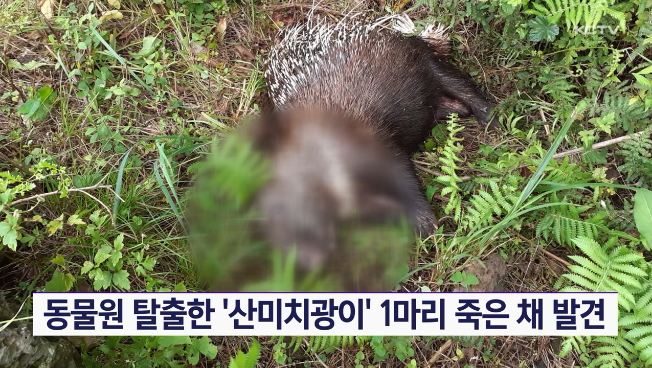 KCTV News7