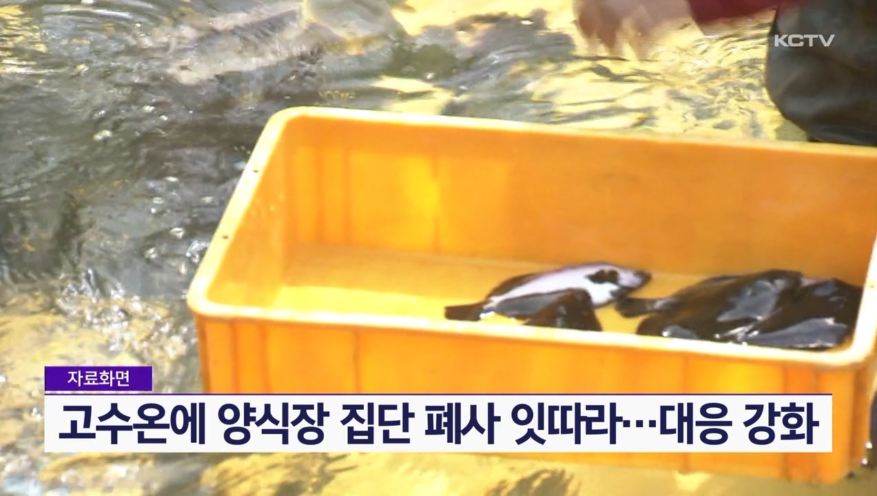 KCTV News7