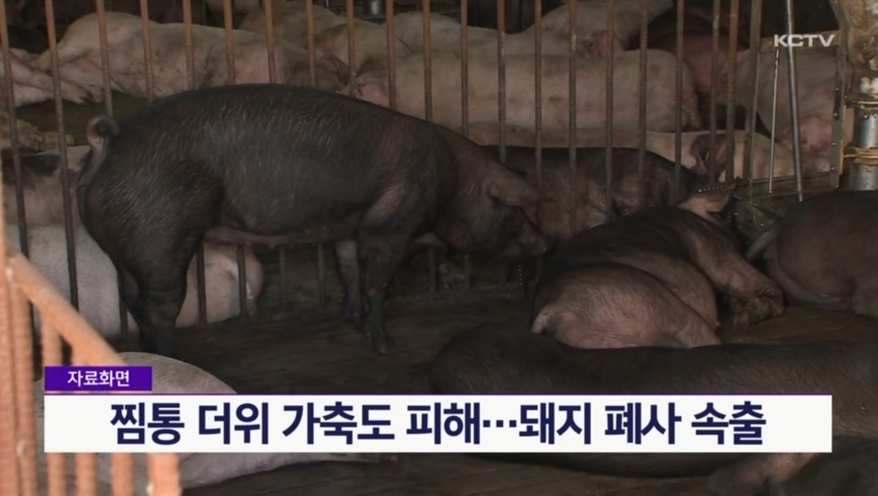 KCTV News7