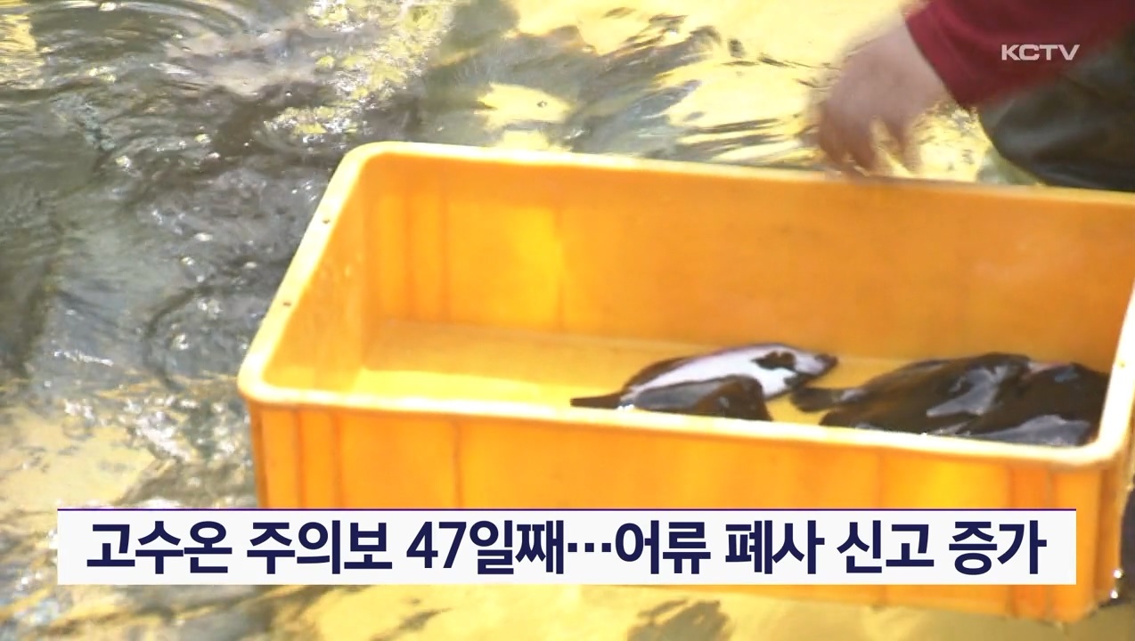 KCTV News7