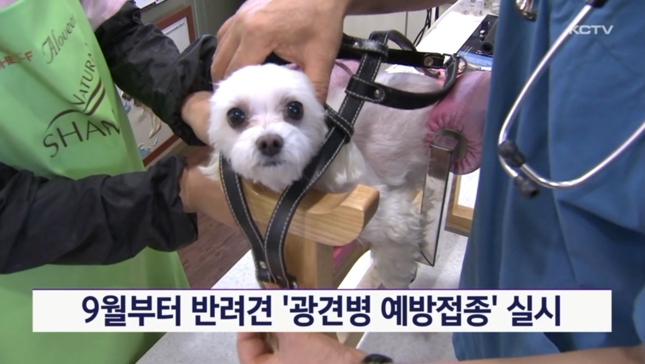 KCTV News7