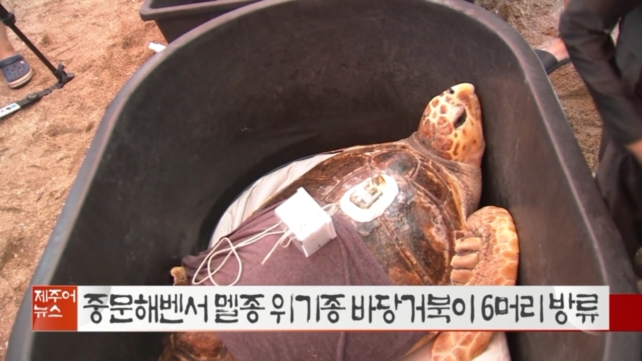 KCTV News7