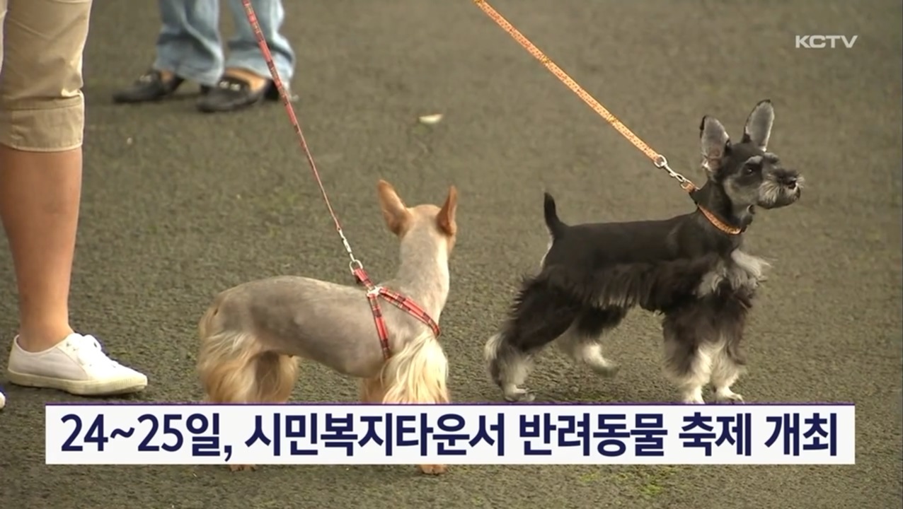 KCTV News7