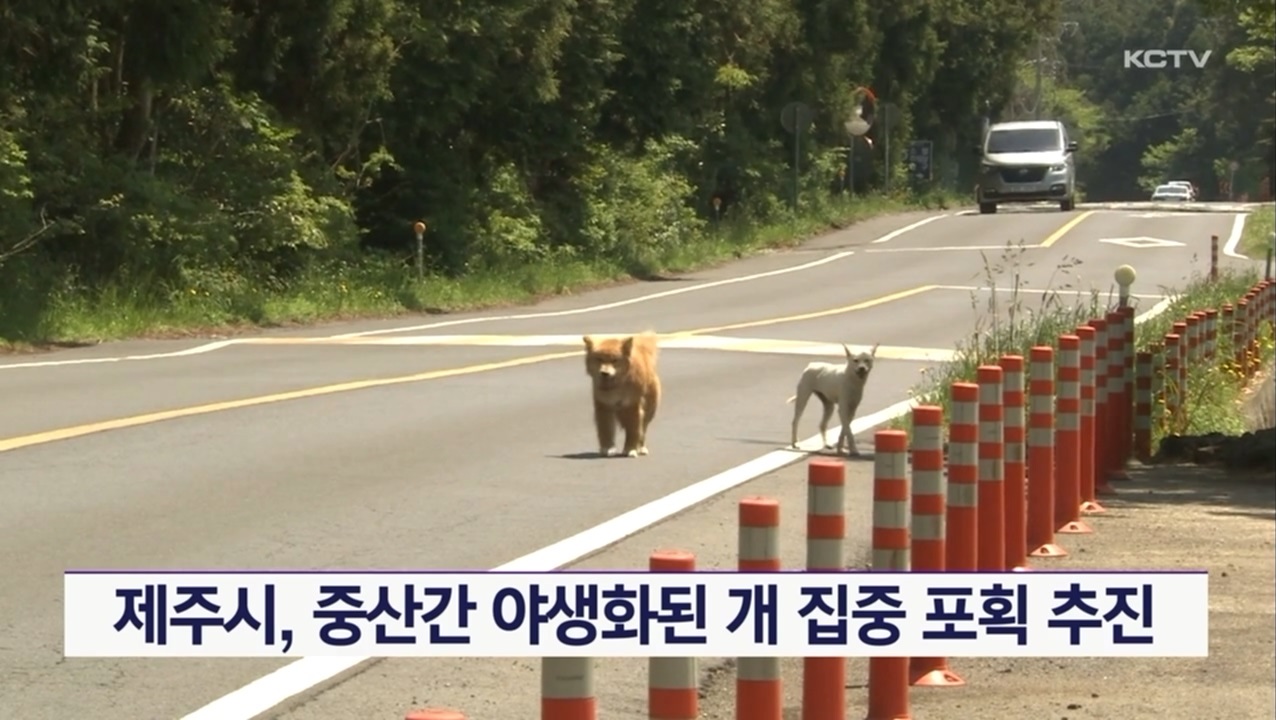 KCTV News7