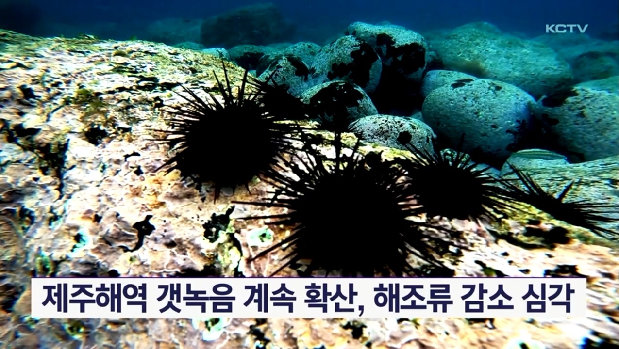 KCTV News7