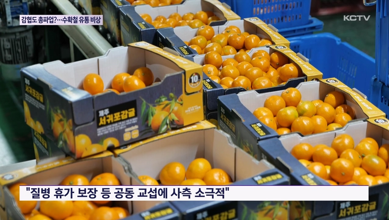 KCTV News7
