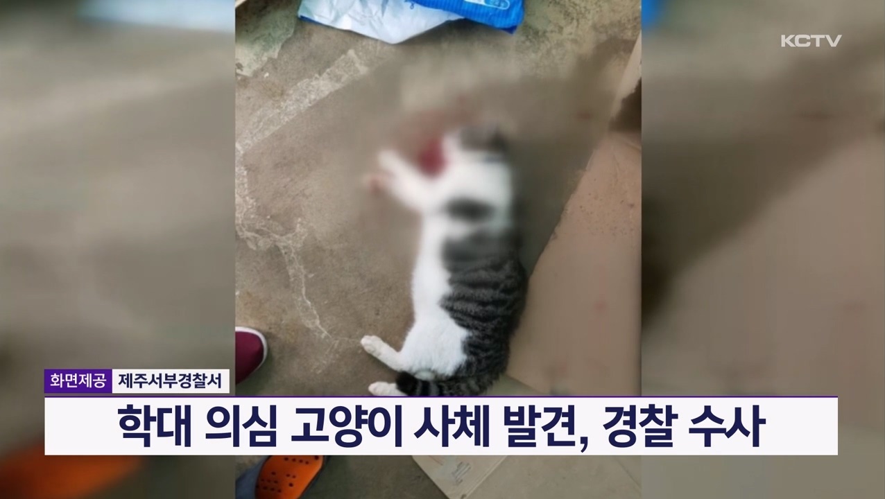 KCTV News7