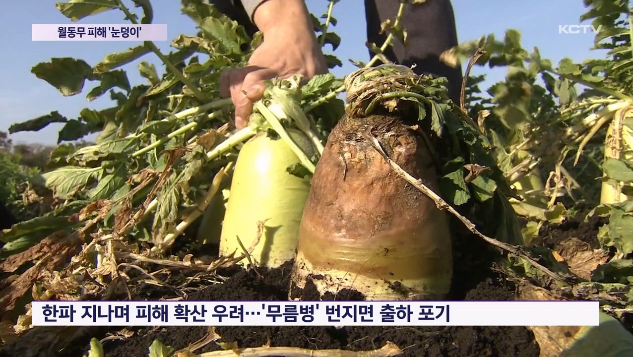 KCTV News7