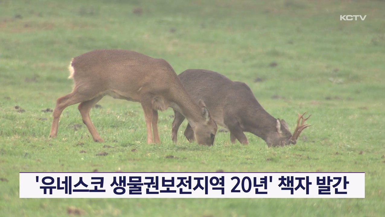 KCTV News7