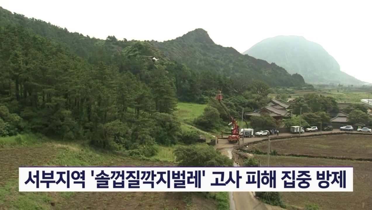 KCTV News7