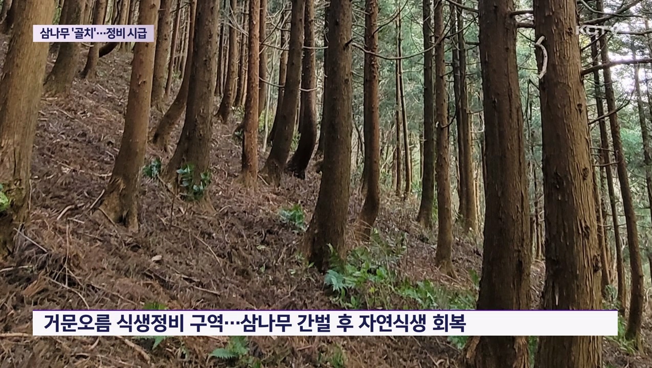 KCTV News7