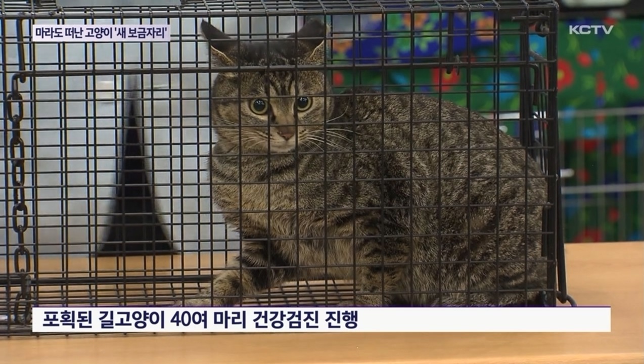 KCTV News7