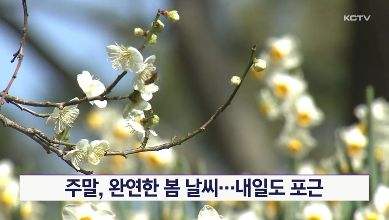 KCTV News7