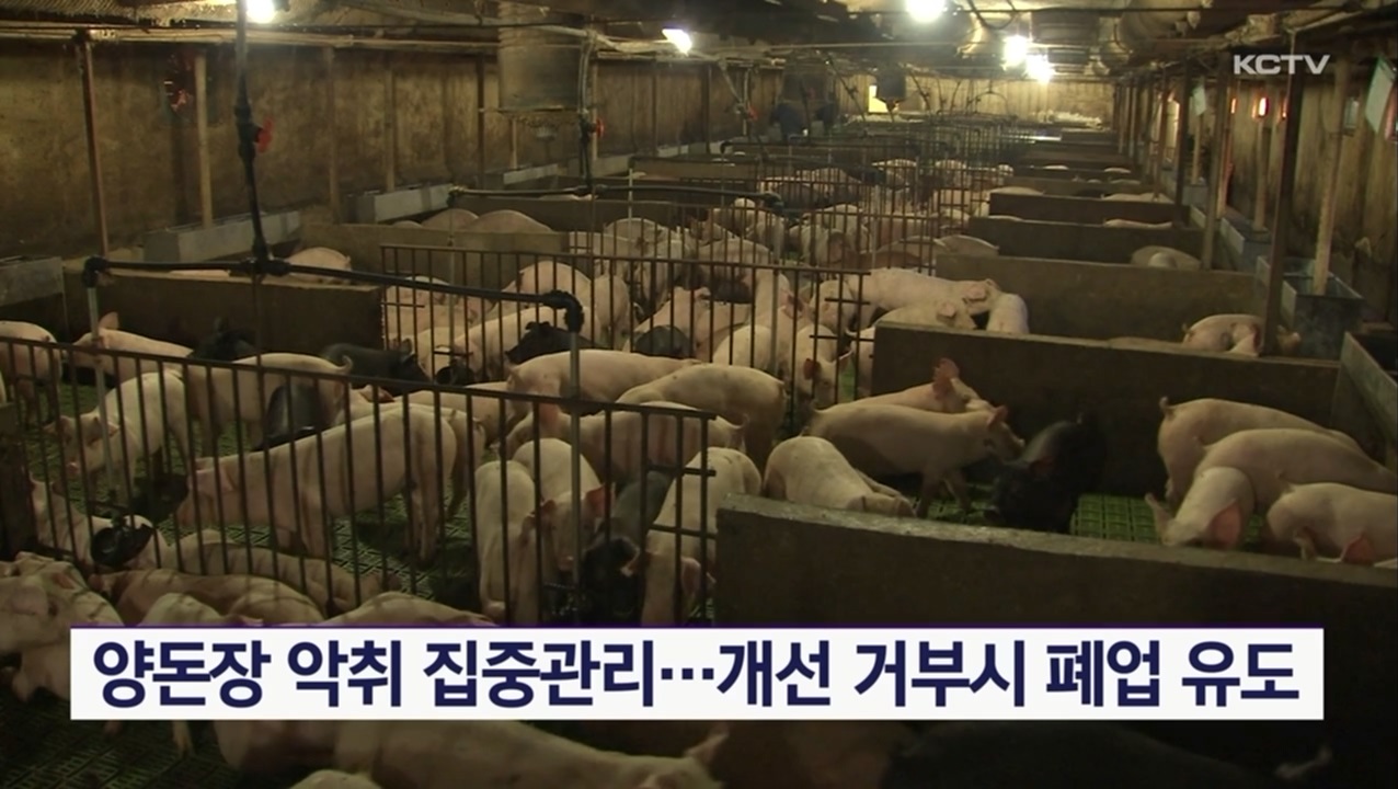 KCTV News7