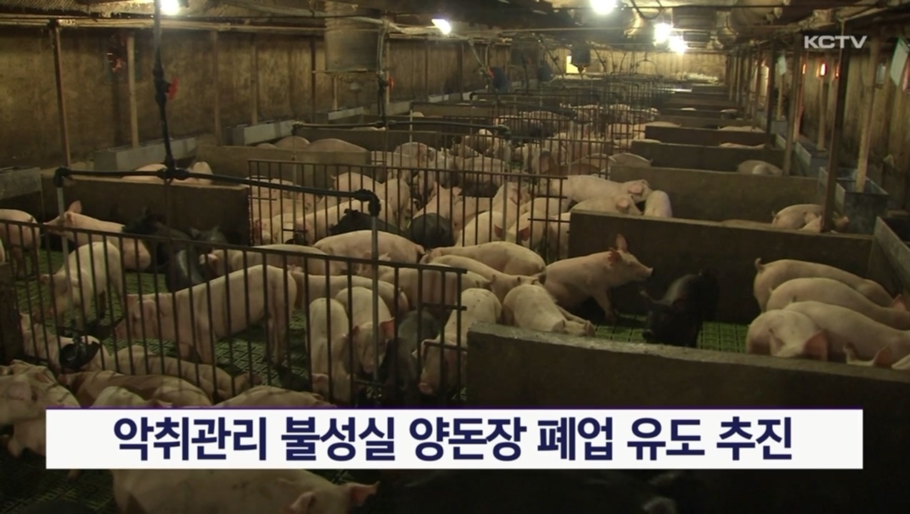 KCTV News7