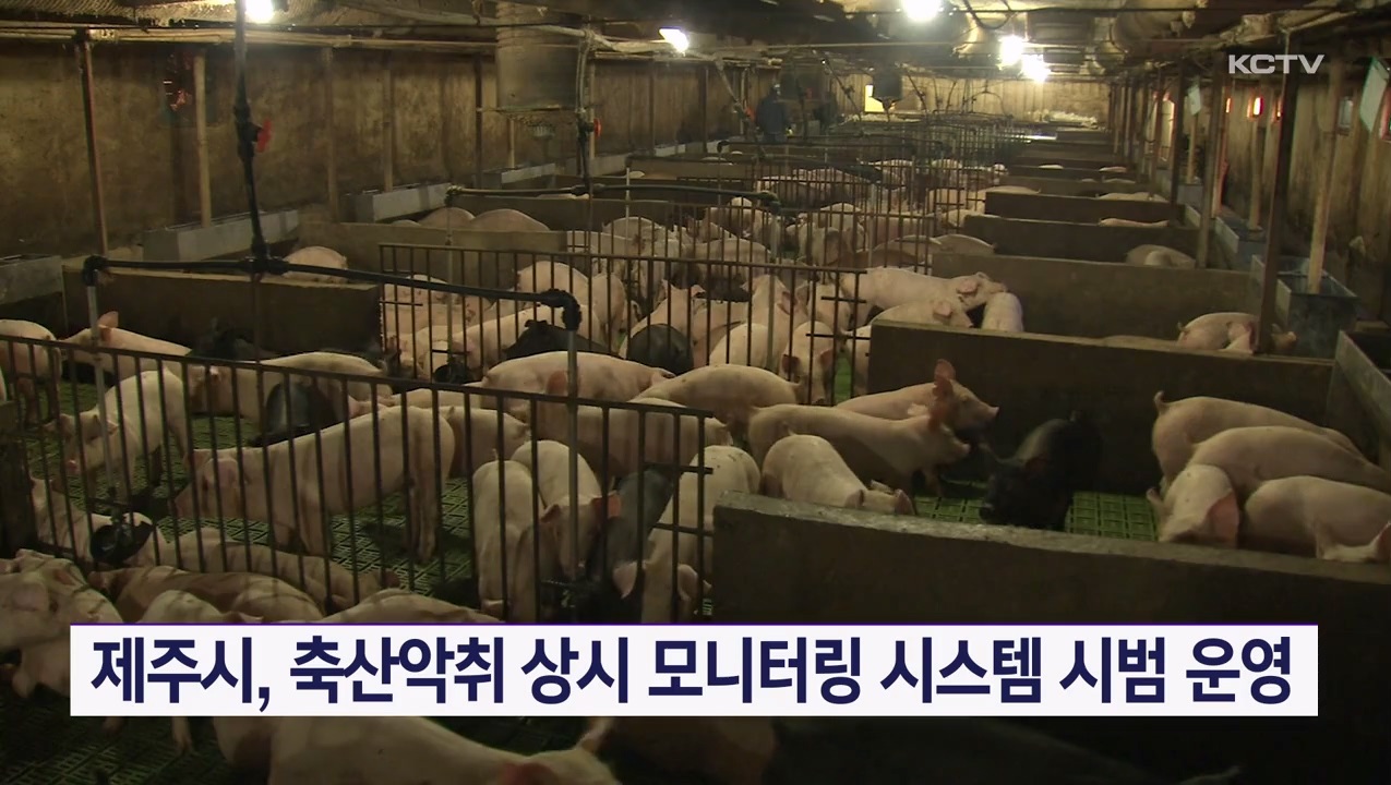 KCTV News7