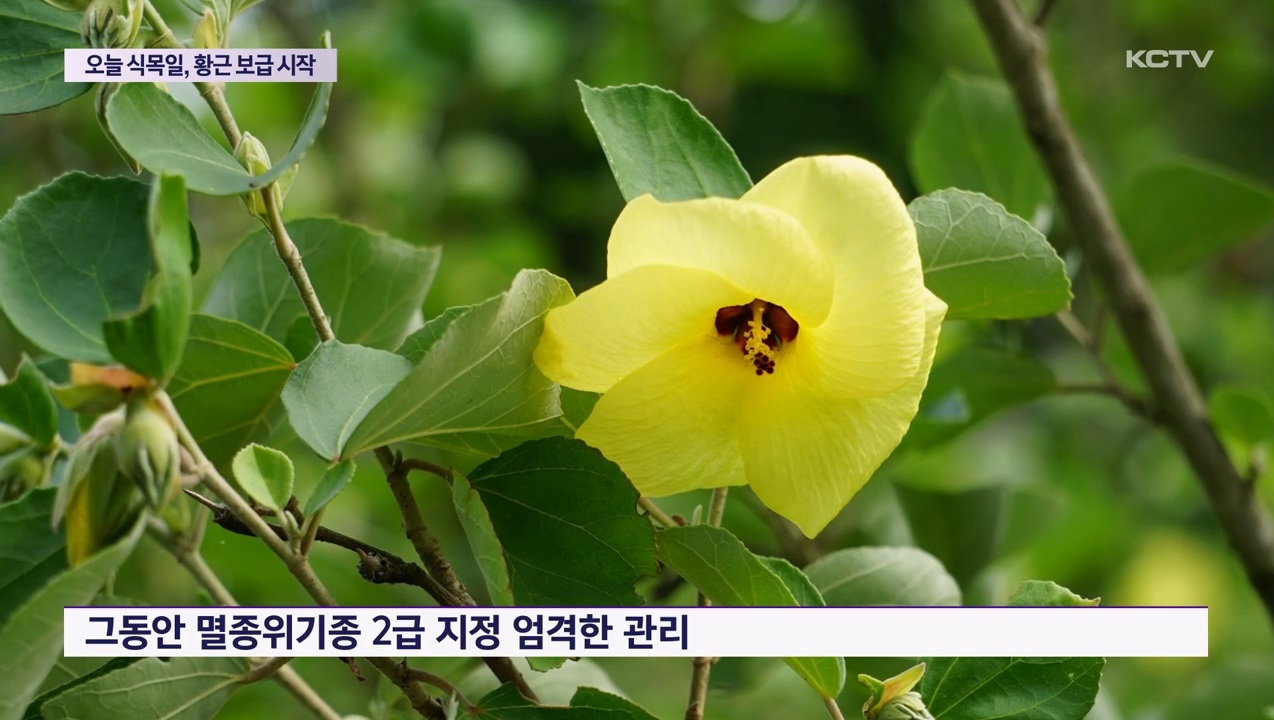 KCTV News7