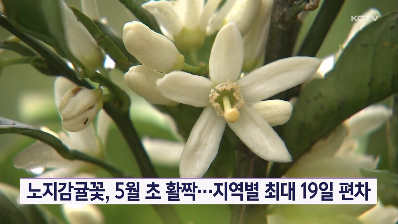 KCTV News7
