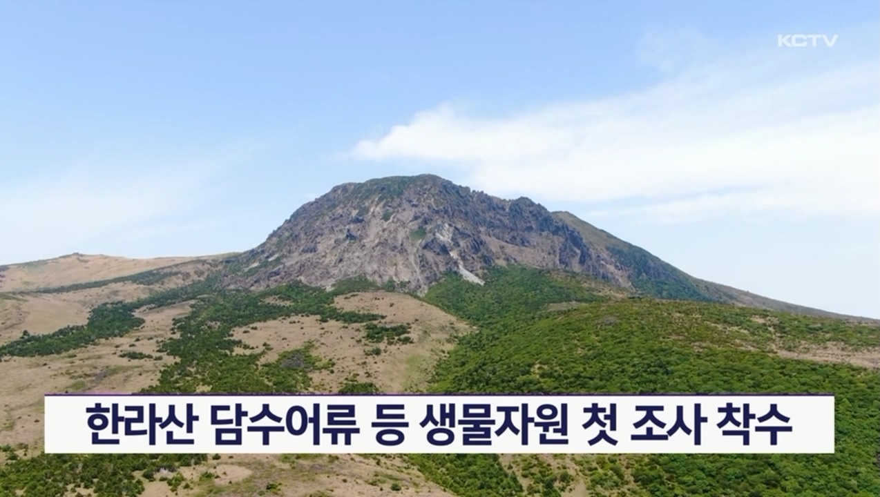KCTV News7