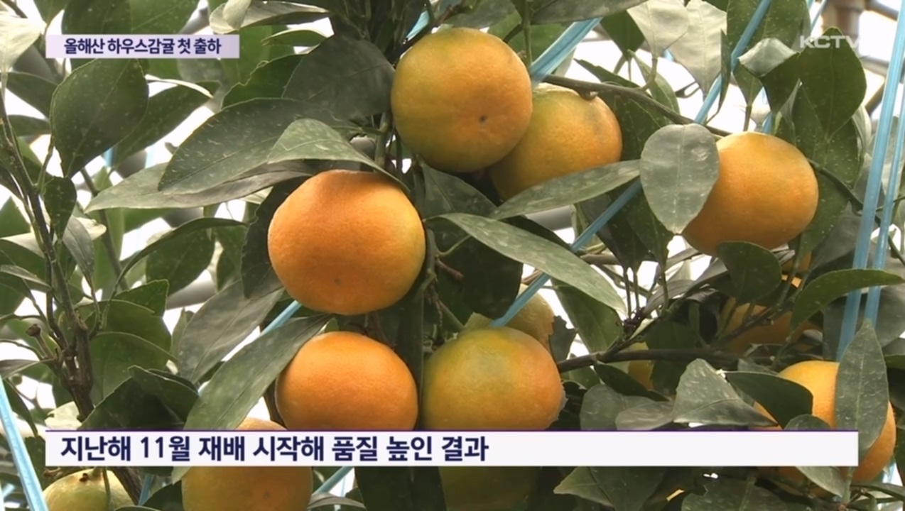 KCTV News7
