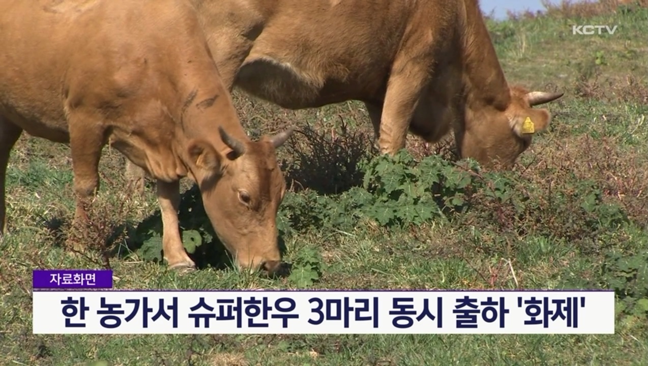 KCTV News7