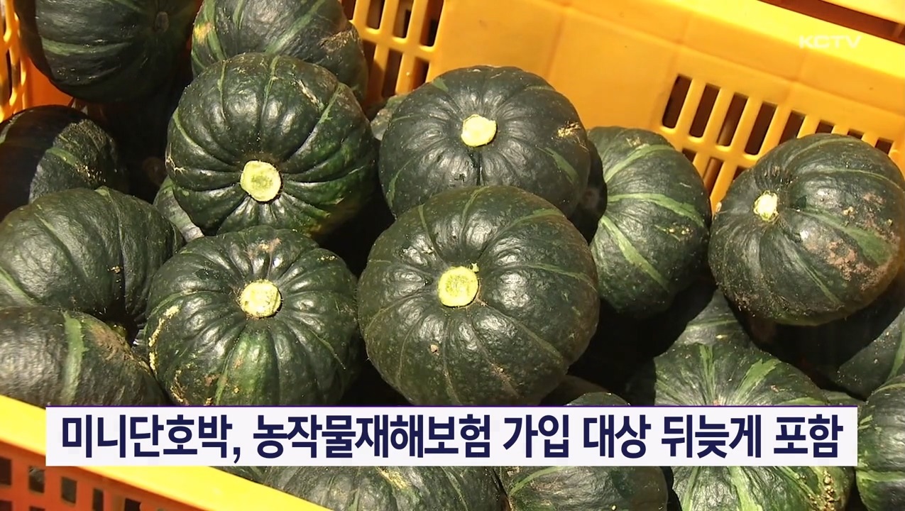 KCTV News7