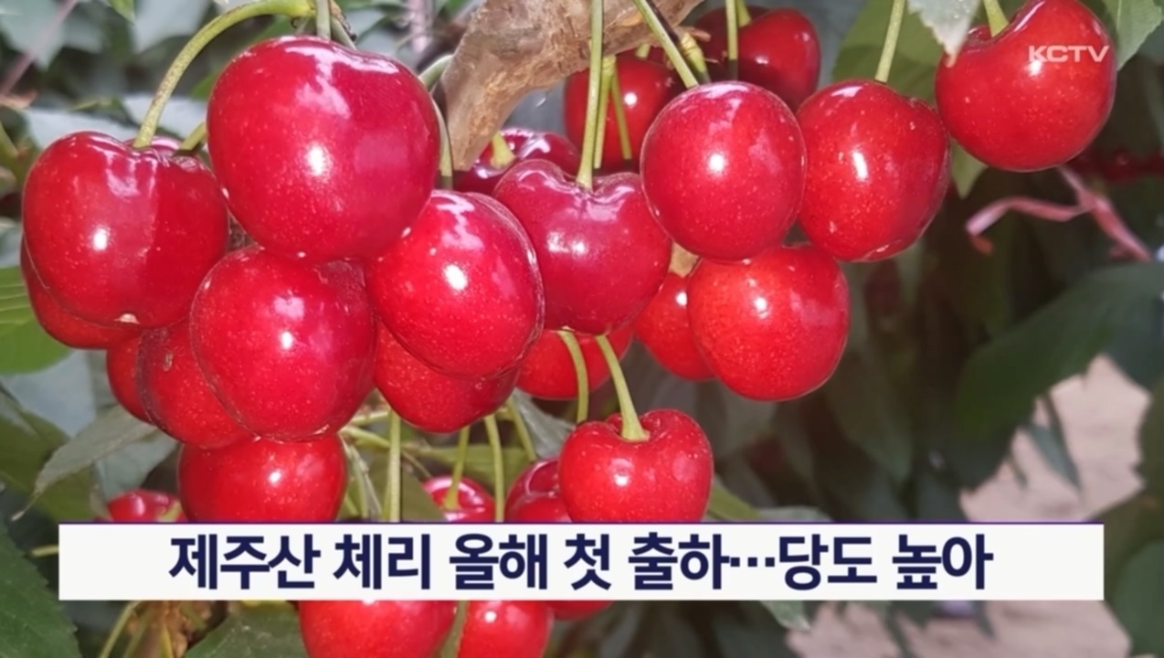 KCTV News7