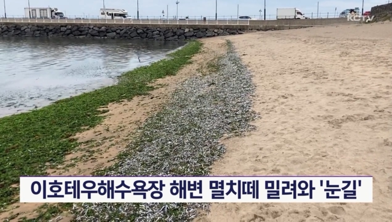 KCTV News7