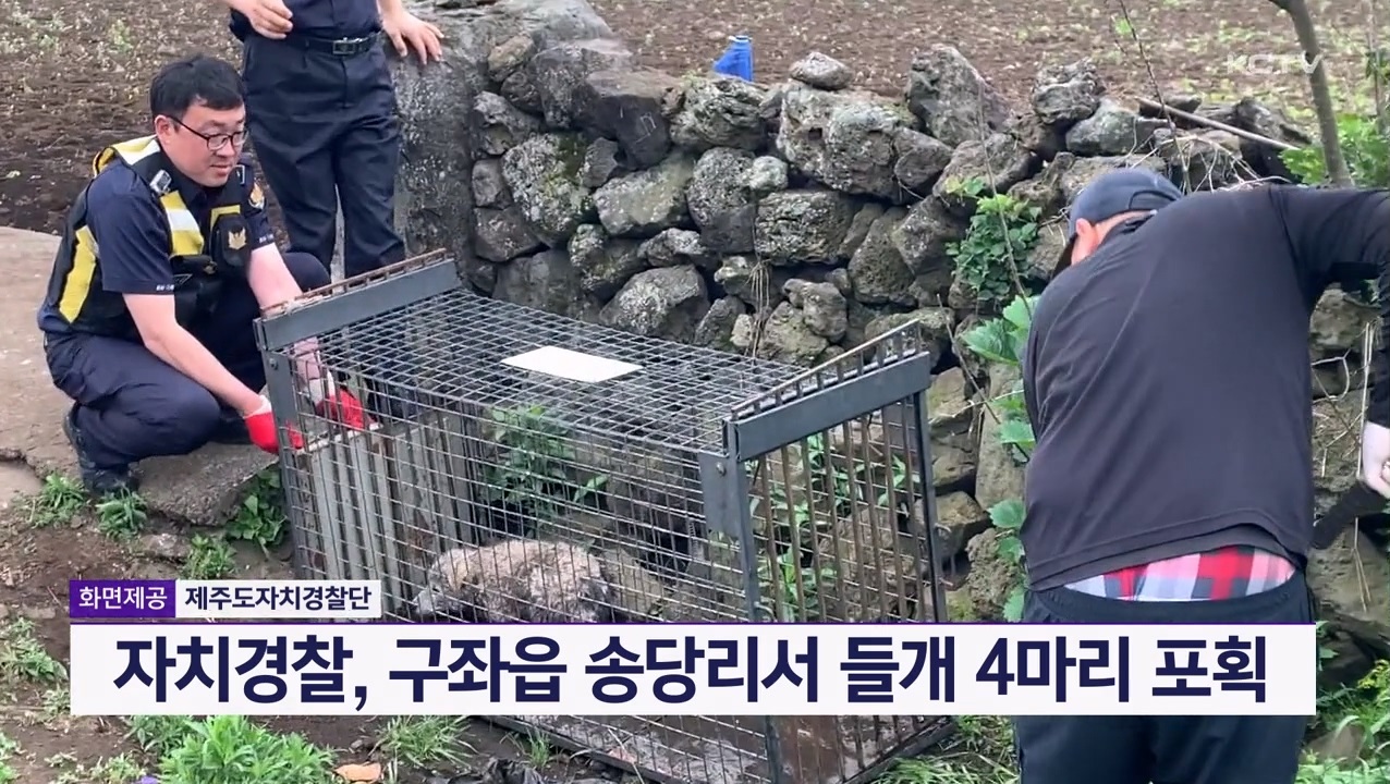 KCTV News7