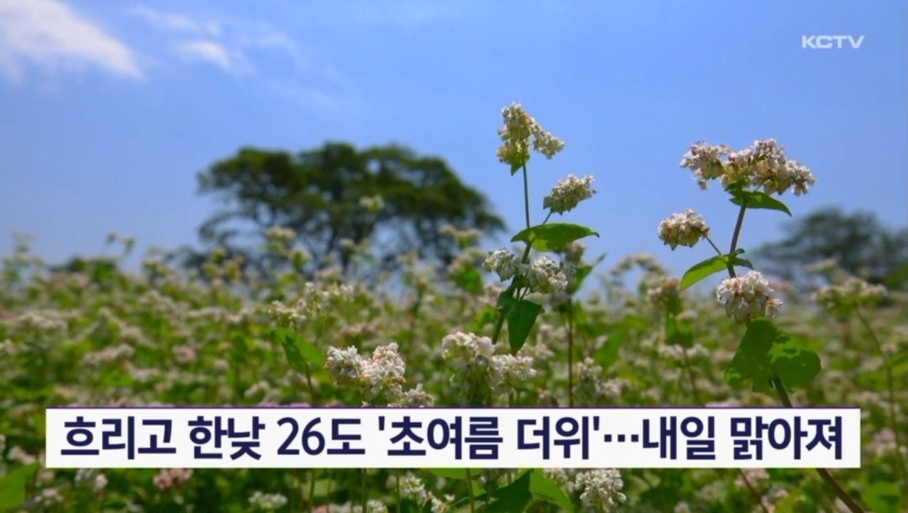 KCTV News7