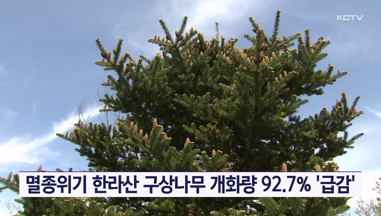 KCTV News7