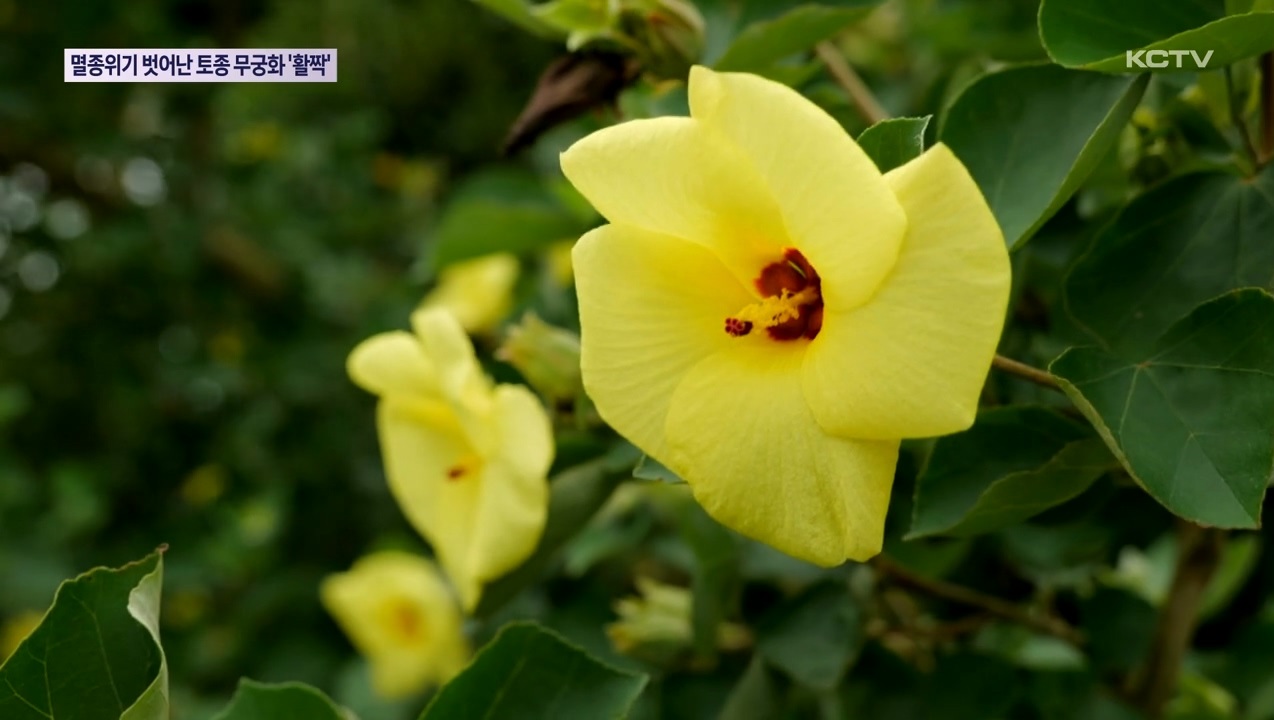 KCTV News7