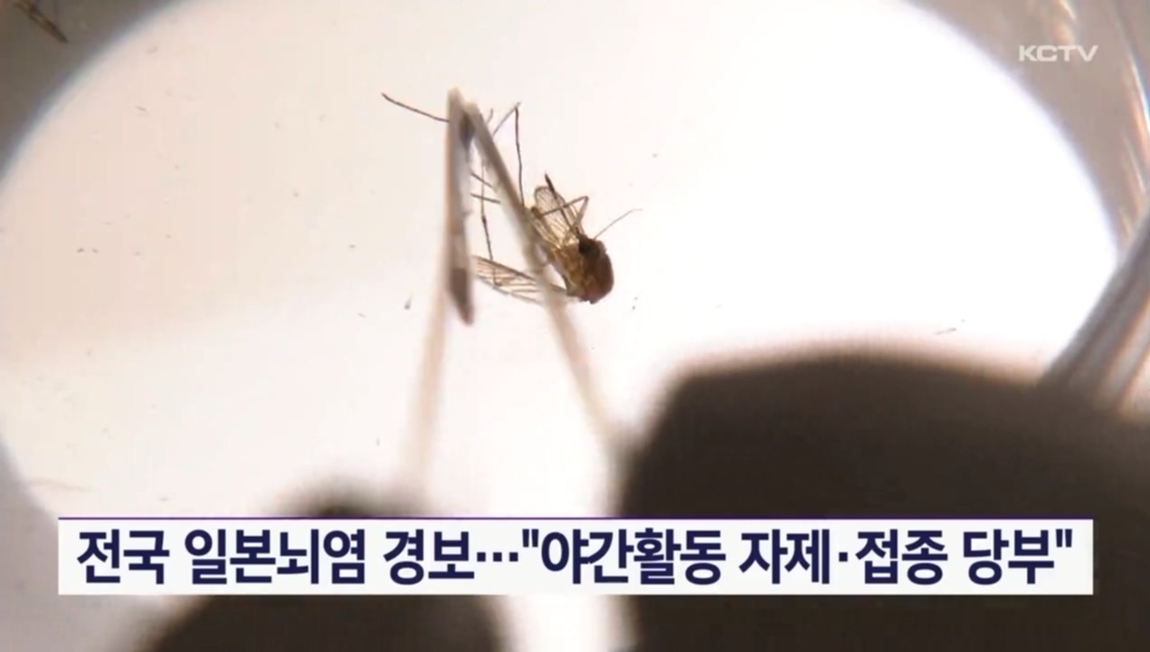 KCTV News7