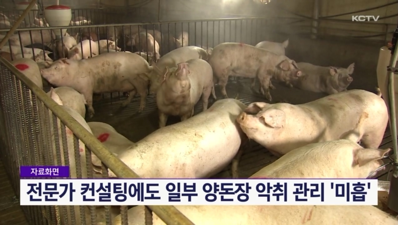 KCTV News7