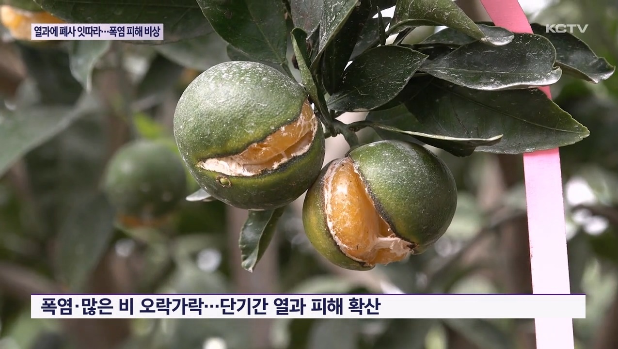 KCTV News7