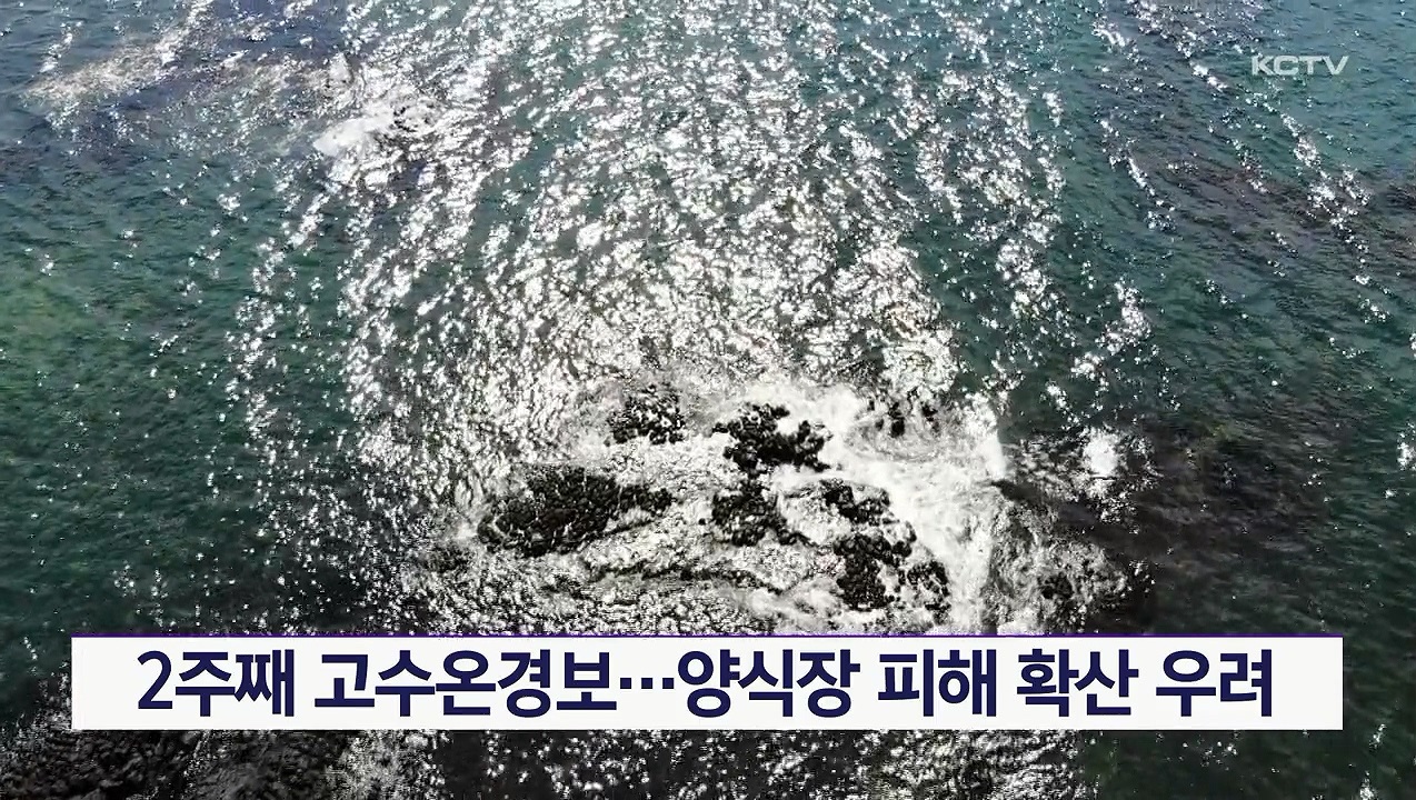 KCTV News7