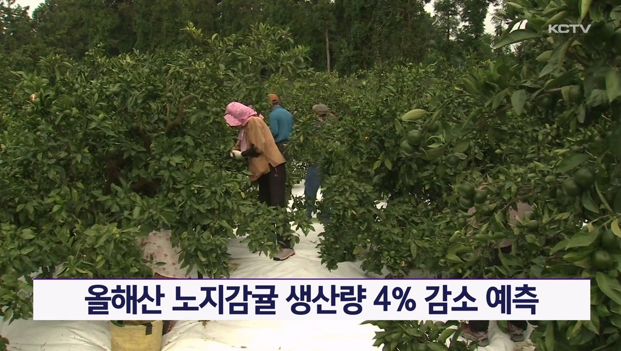 KCTV News7