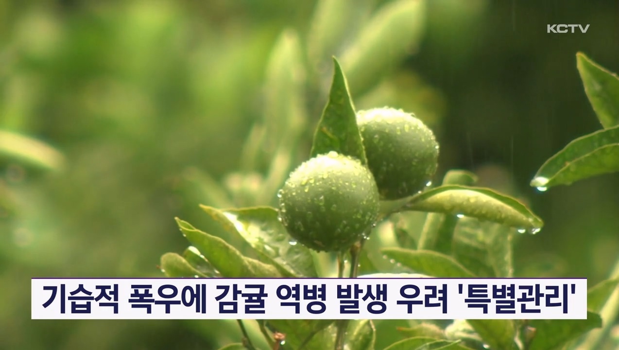 KCTV News7