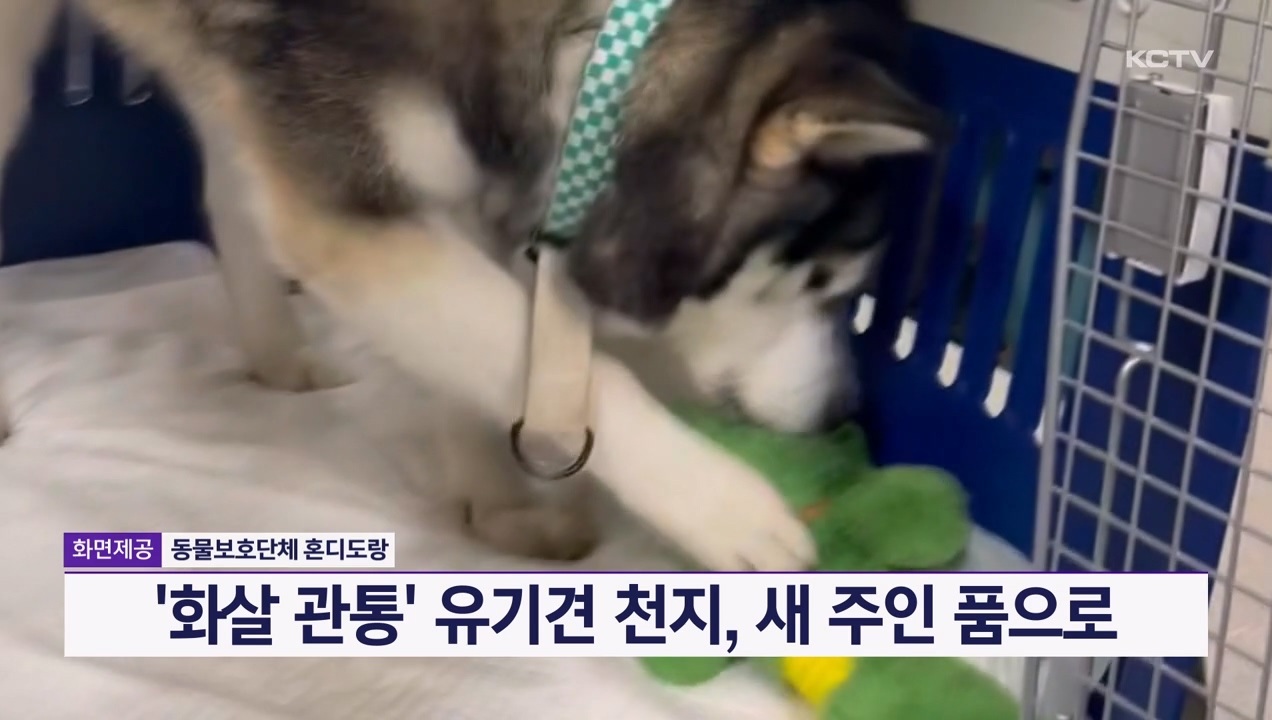 KCTV News7