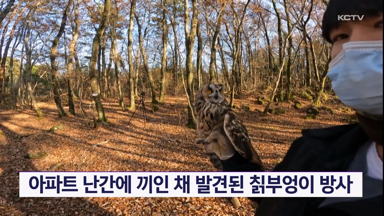 KCTV News7
