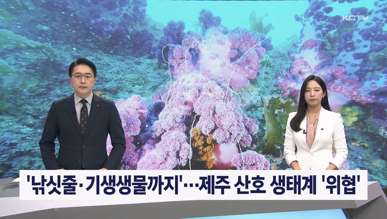 KCTV News7