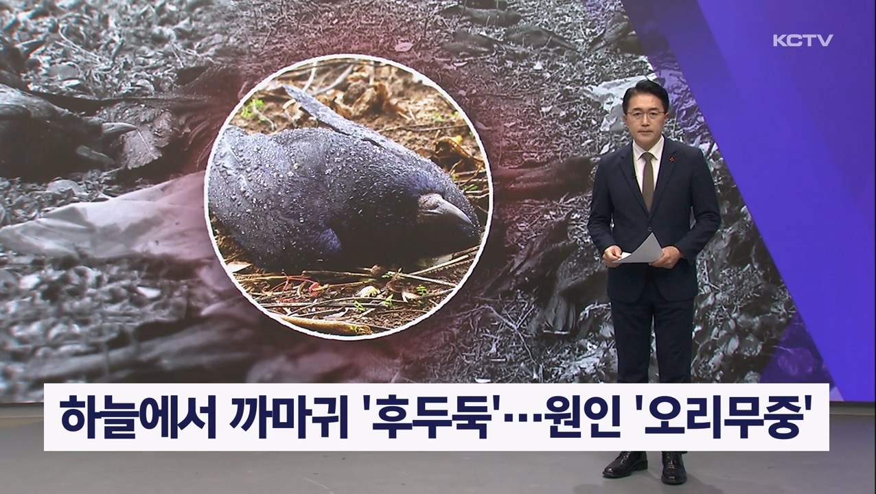 KCTV News7