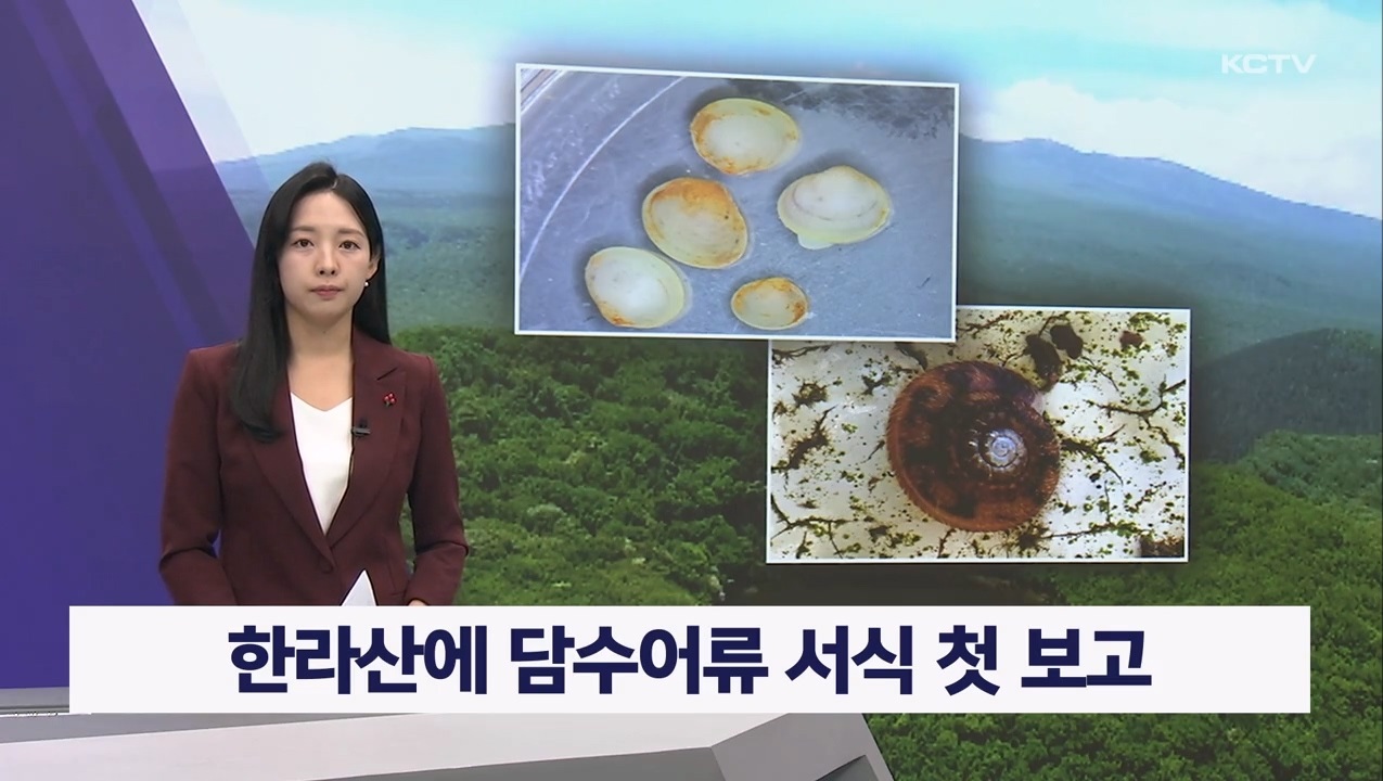 KCTV News7