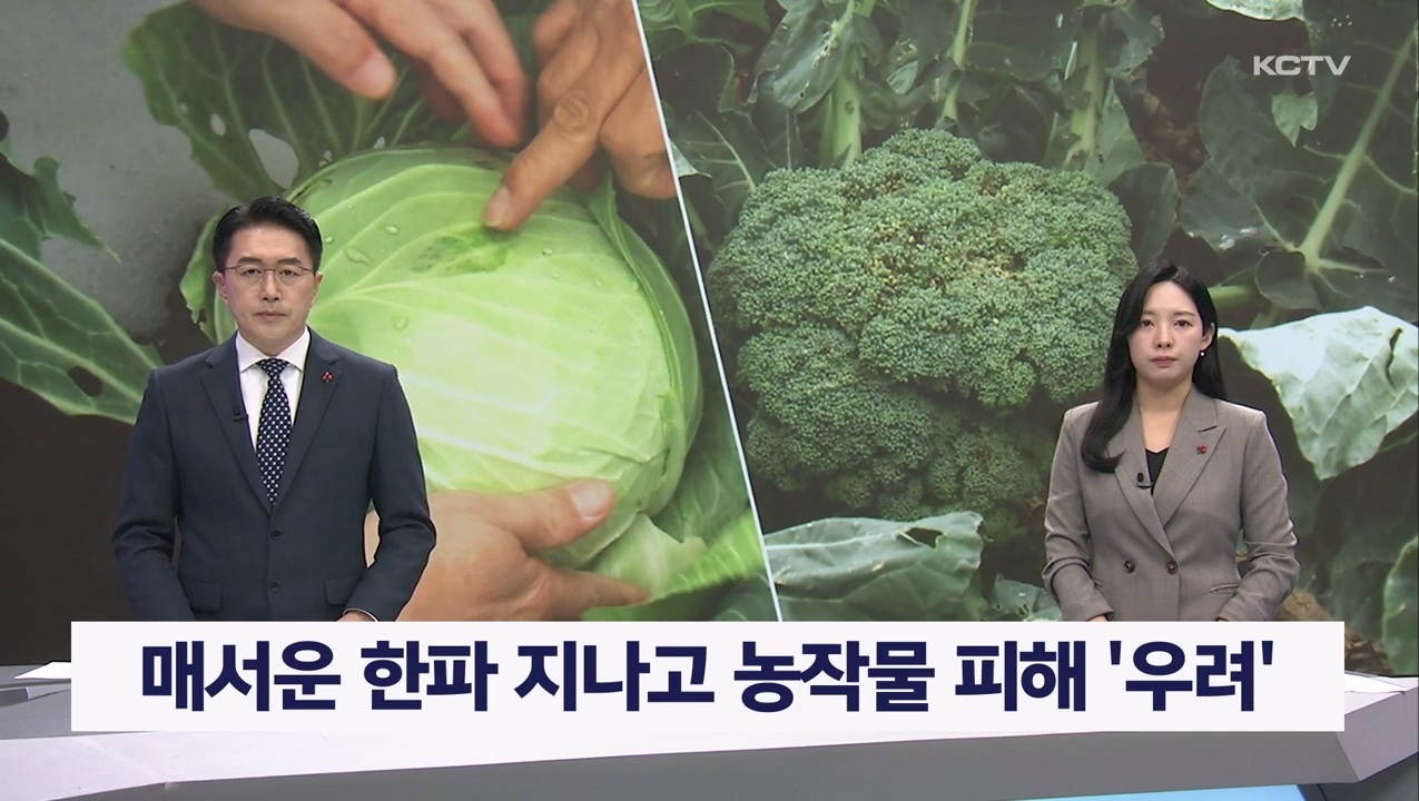 KCTV News7
