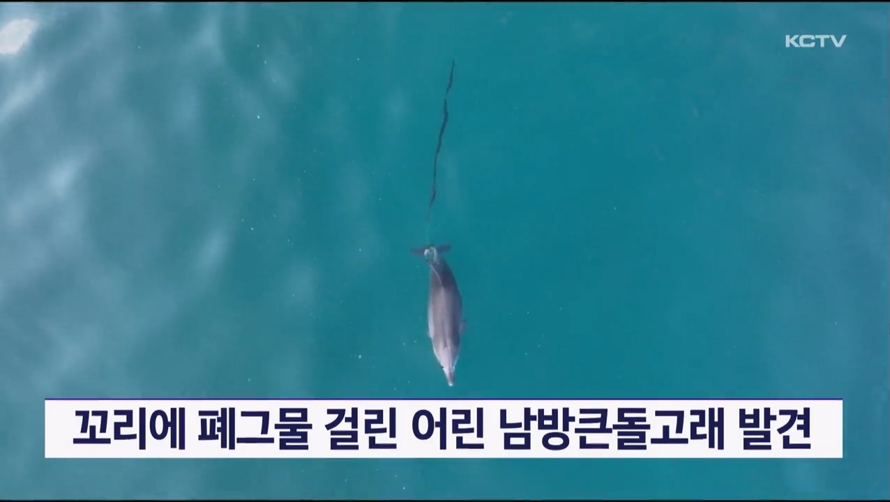 KCTV News7