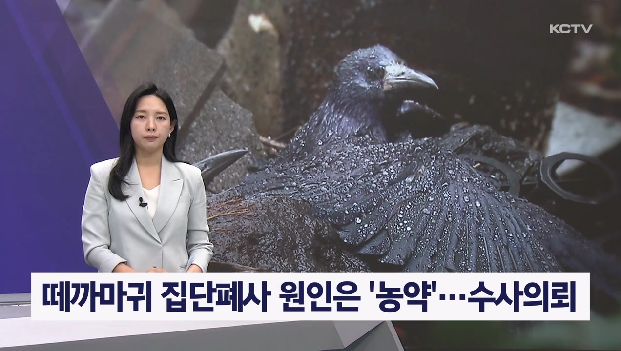 KCTV News7