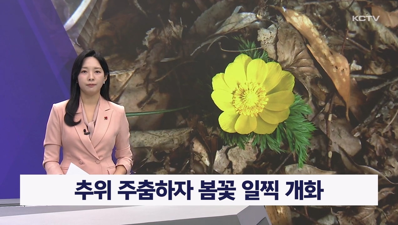 KCTV News7
