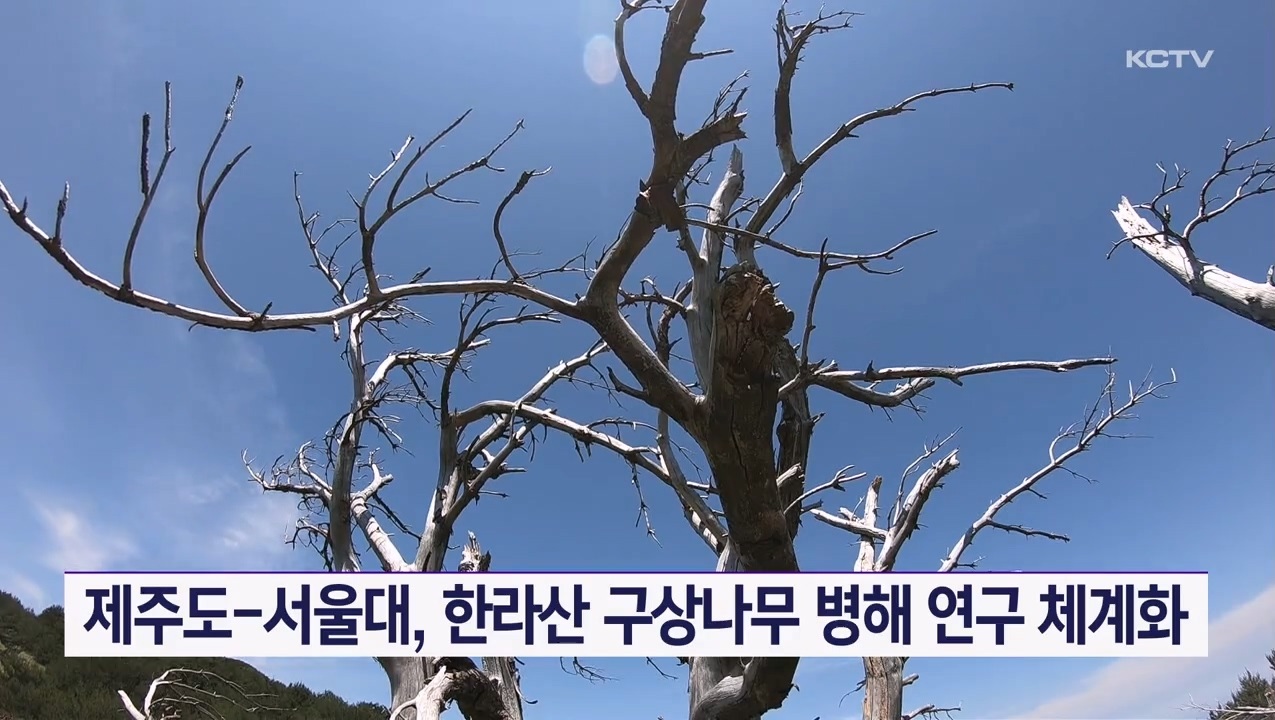 KCTV News7