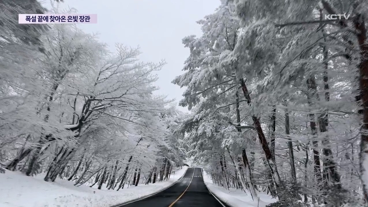 KCTV News7