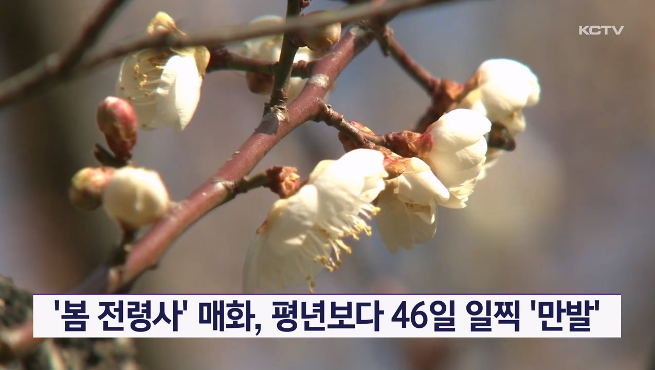 KCTV News7